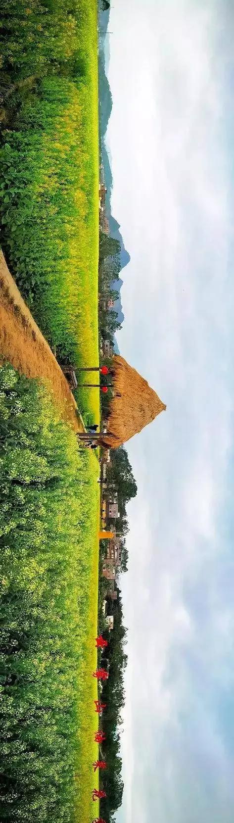 中國(guó)經(jīng)濟(jì)體制改革基金會(huì)全國(guó)第一！中國(guó)改革熱度第三方評(píng)估出爐，云浮宣傳系數(shù)在全國(guó)343個(gè)城市居首位                             